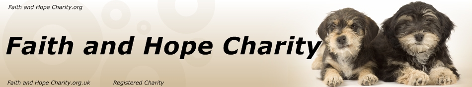 Faith and Hope Dog charity